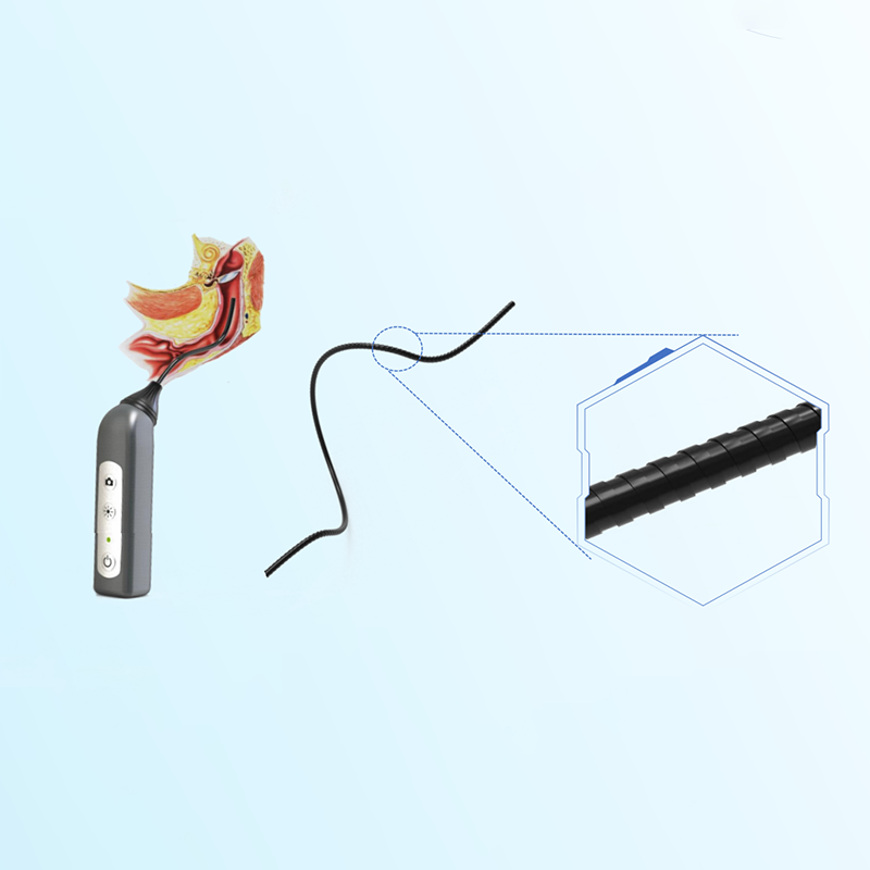 veterinary otoscope