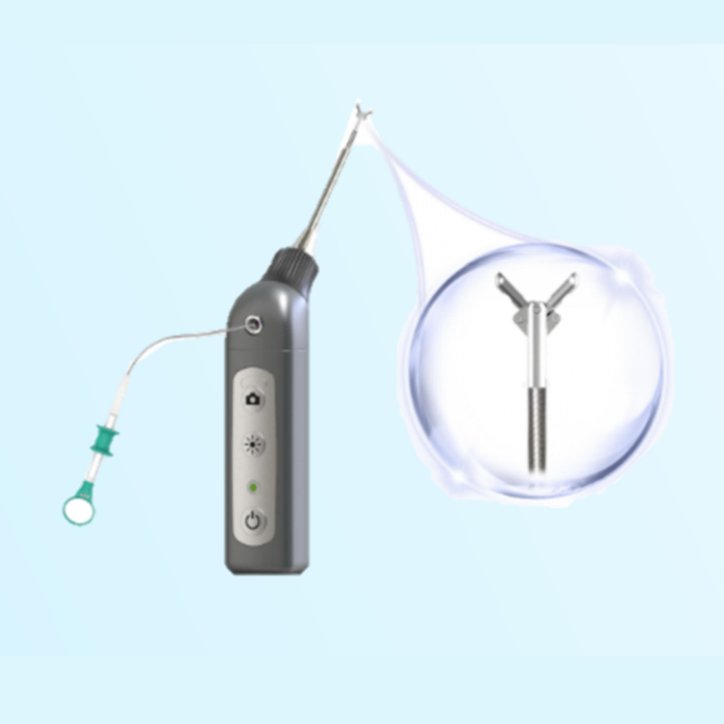 veterinary otoscope