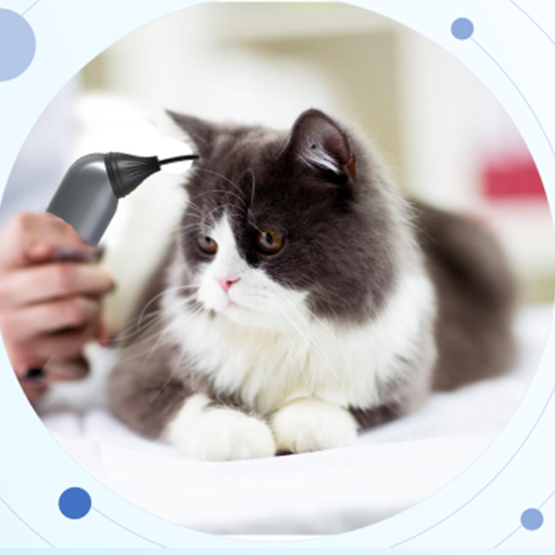 veterinary otoscope