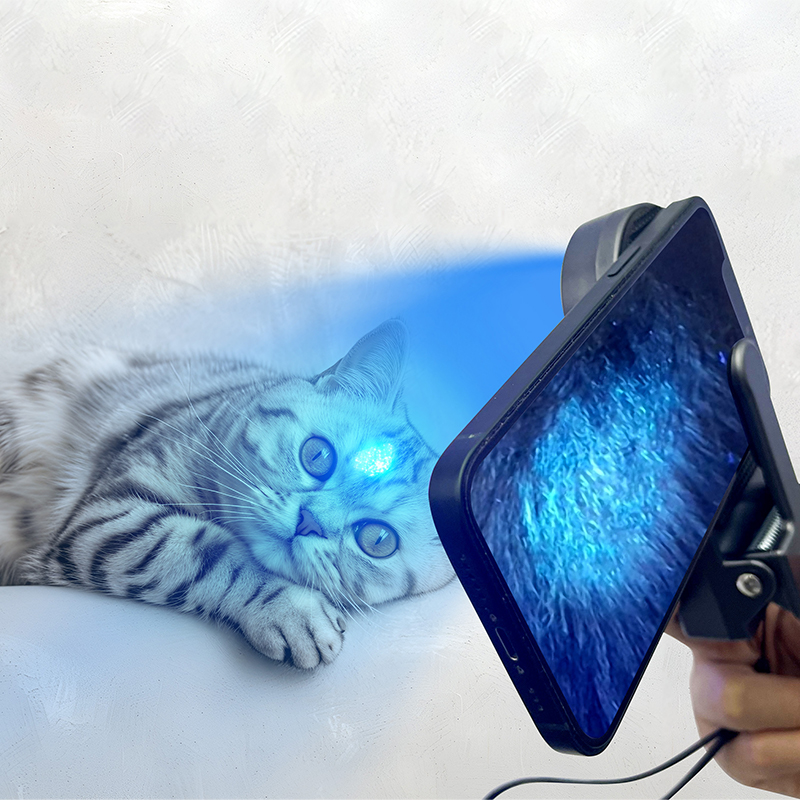  Veterinary Portable Wood's Lamp