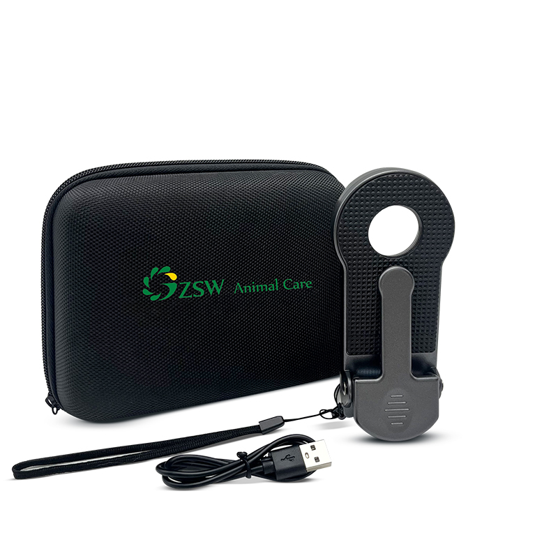 Wood's lamp Pet examination Skin examination