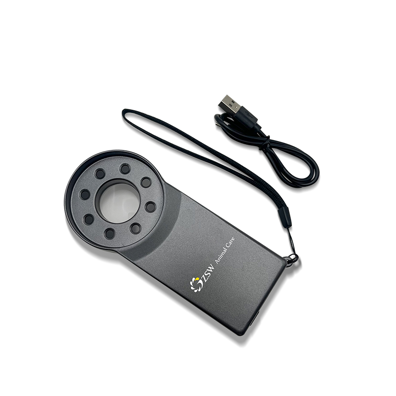 Wood's lamp Pet examination Skin examination