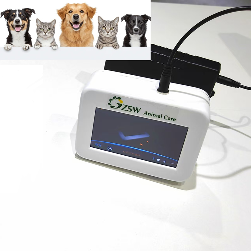 Portable Veterinary Ultrasonic Scalpel